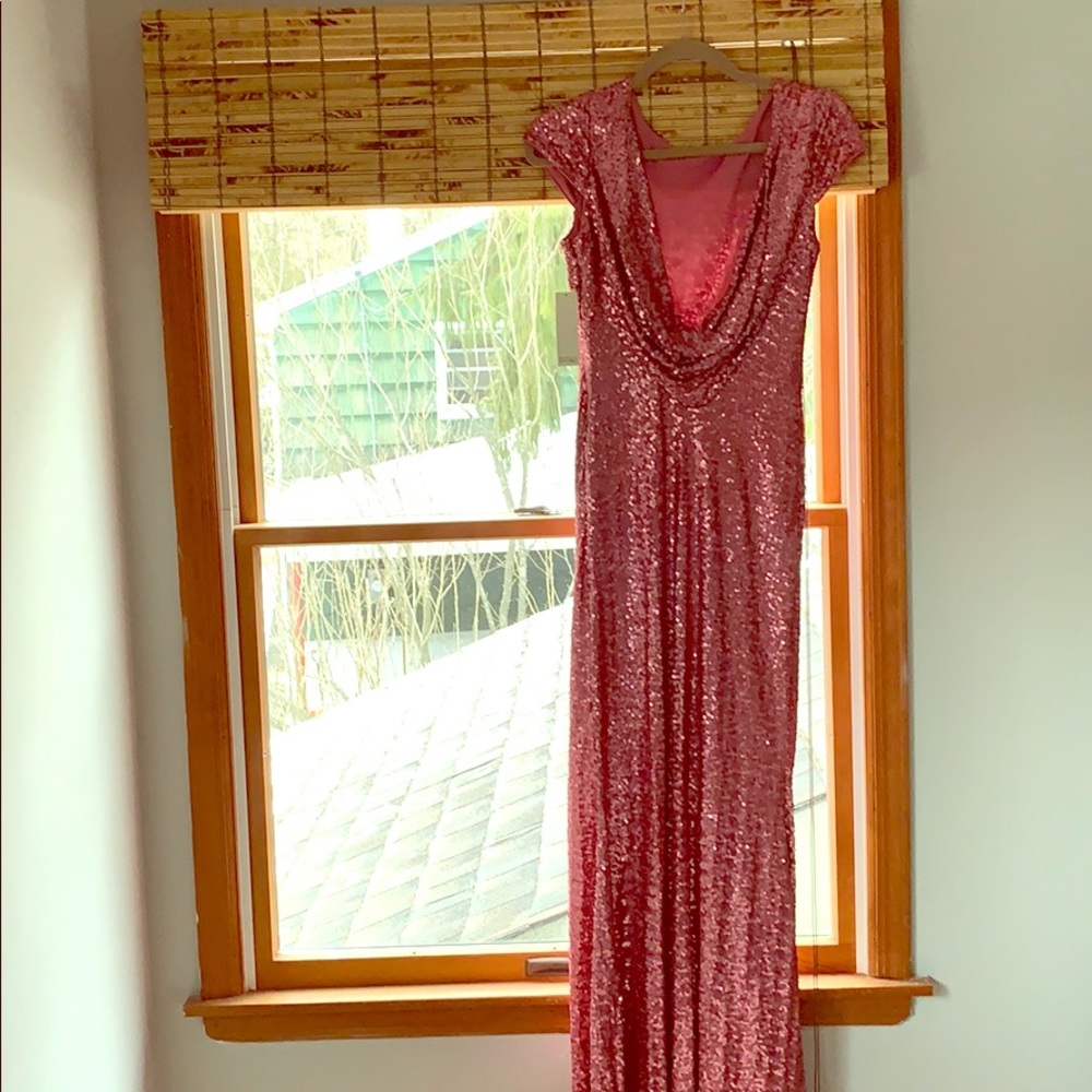 Rose sequin badgley mischka dress
